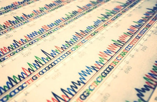 Whole Exome Sequencing | WES